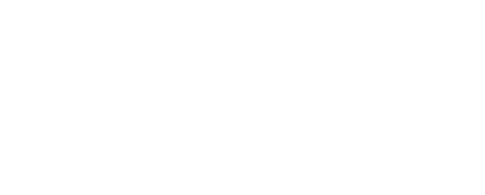 Web Mind